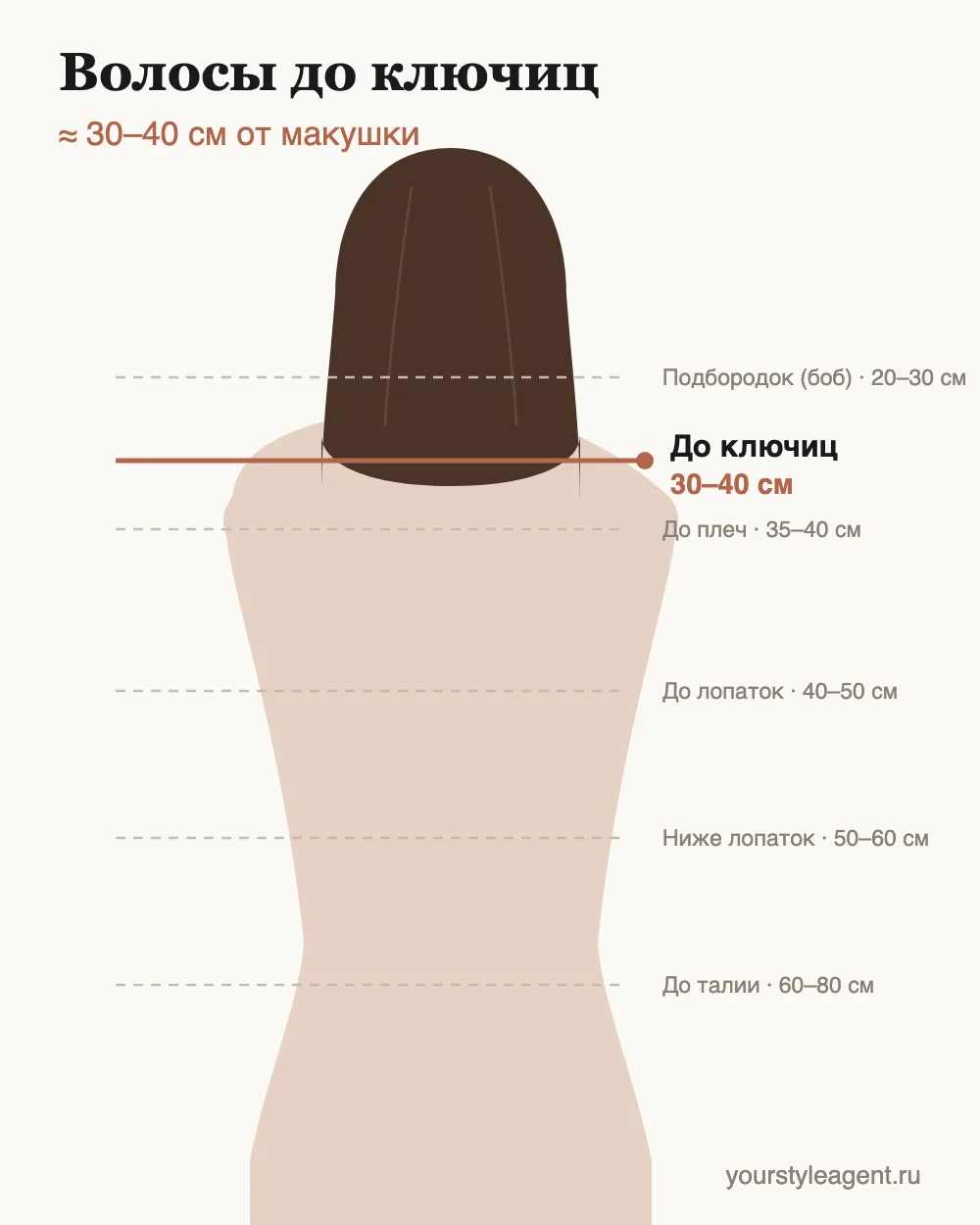 Схема длины: волосы до ключиц — 30–40 см от макушки