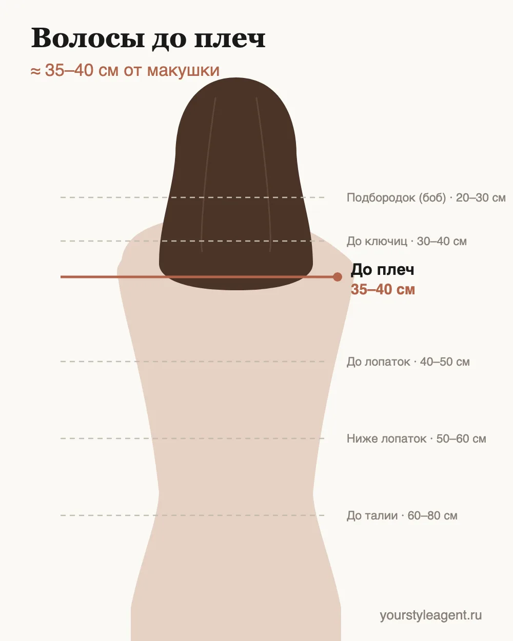 Схема длины: волосы до плеч — 35–40 см от макушки